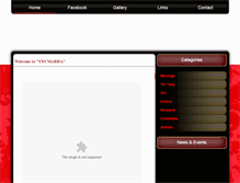 Tablet Screenshot of kungfumartialarts.in
